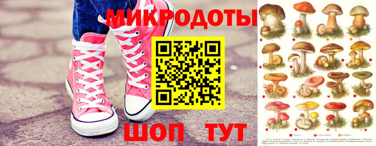 Галлюциногенные грибы Cubensis  Вход с VPN  Галлюциногенные грибы прущие грибы  Томск 